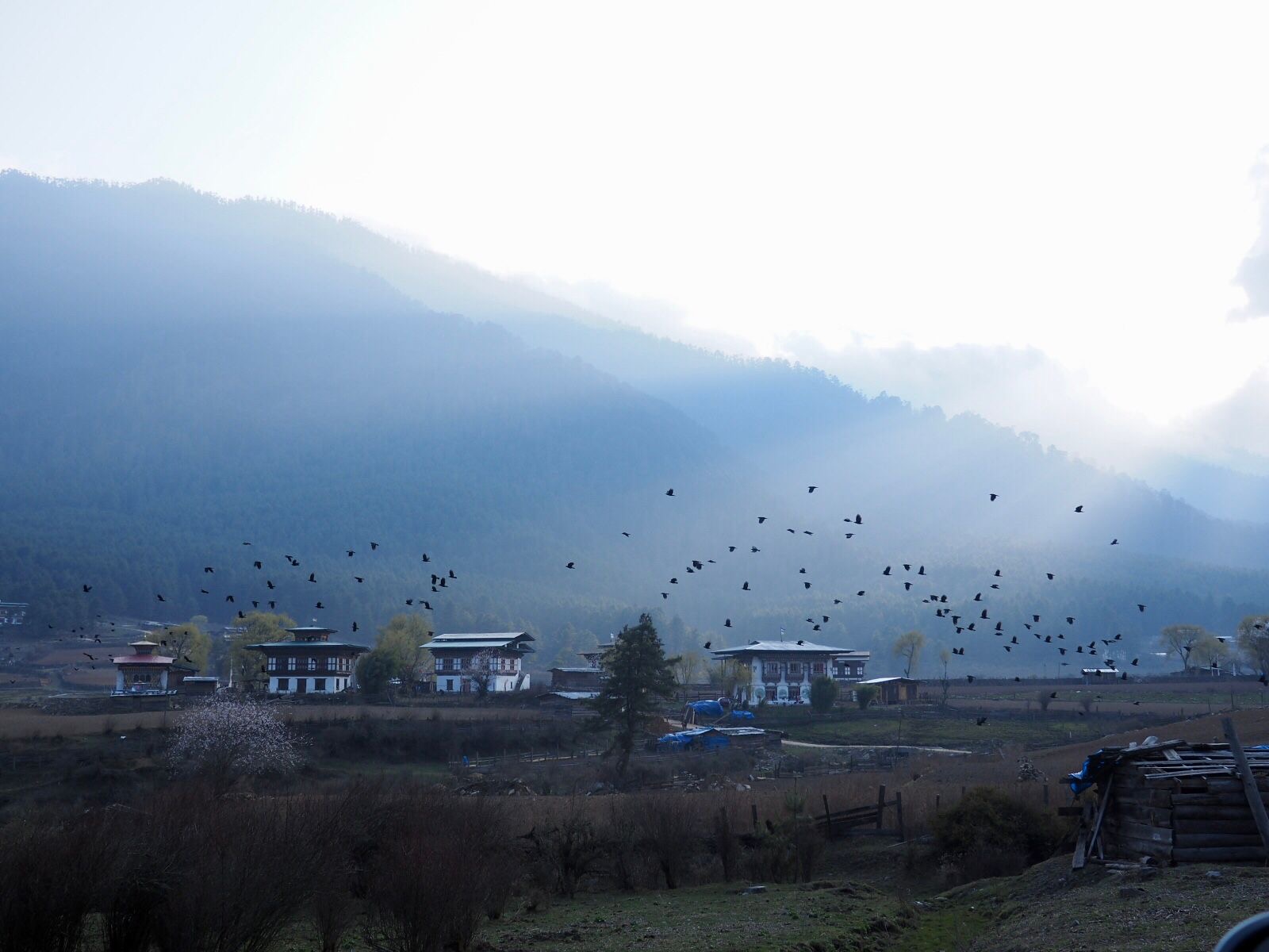 A misty Bhutan valley with traditional houses, forested mountains, and birds in flight