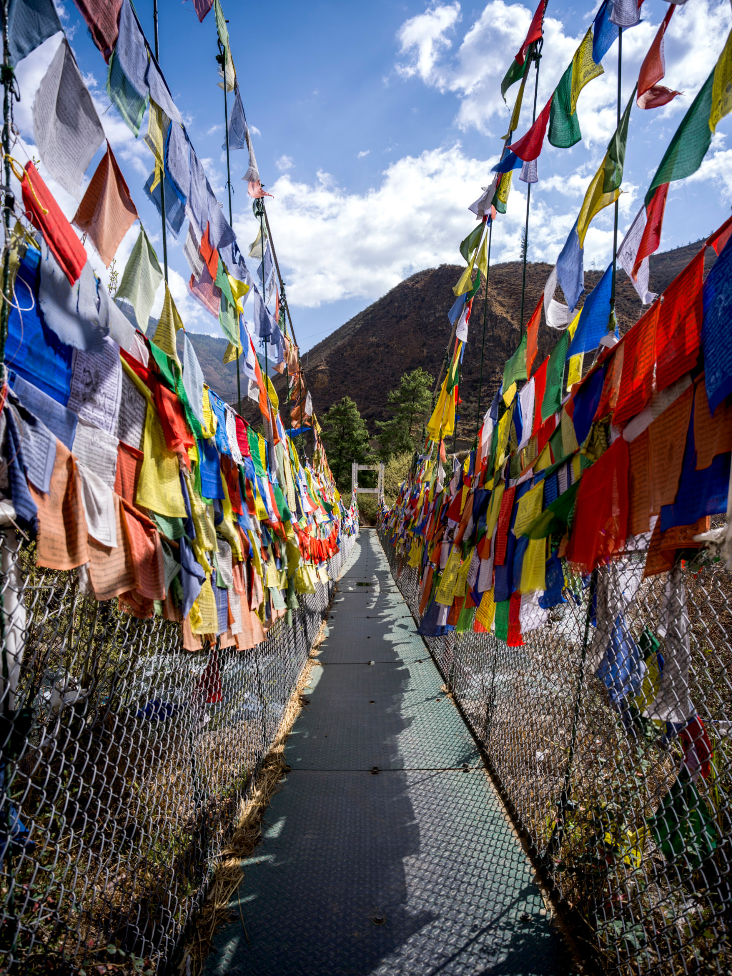 A prayer-flag bridge lined with colourful lungdar flags beneath a bright Bhutanese sky