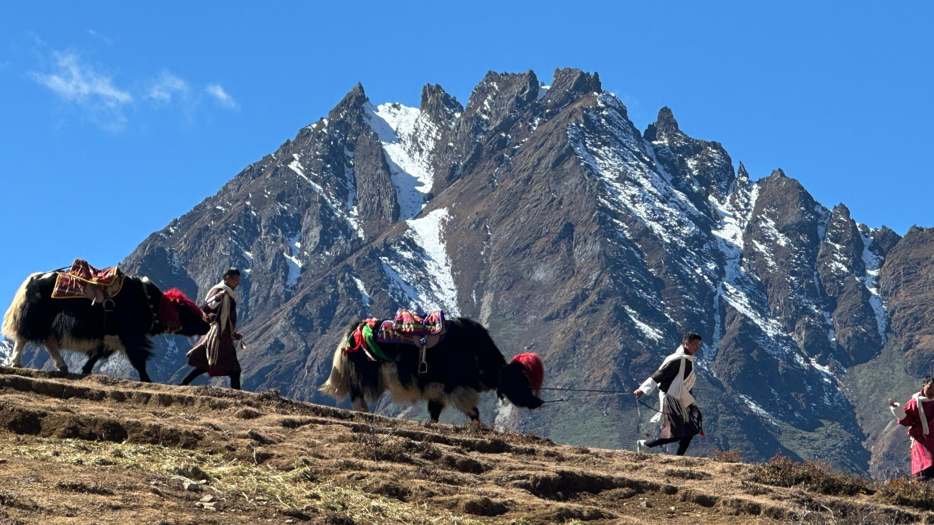 Yaks and herders walking across a high mountain ridge beneath a snow-dusted Himalayan peak