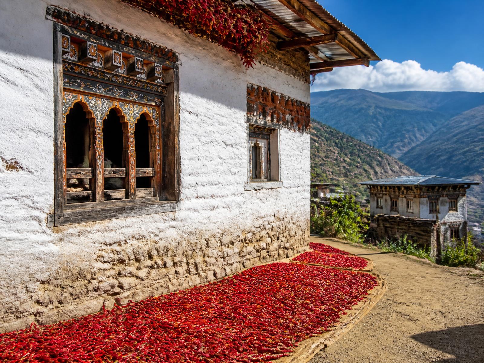 Red chillies drying beside a traditional Bhutanese farmhouse